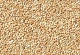 Kamenný koberec ANCONA 4-8mm