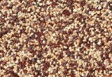 Kamenný koberec BERGAMO 4-8mm